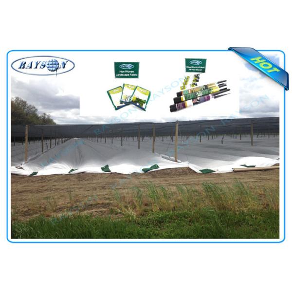 Крышка Pp Spunbond ватки предохранения от Frost сада не сплетенная подгоняла