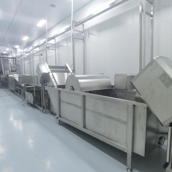 Specialized processing machine for mango puree processing production line