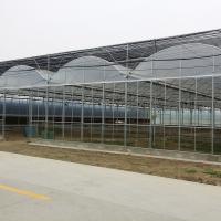 Horticultural Plastic Film UV Resistant Large Poly Tunnel Multi-span Greenhouse for Vegetable