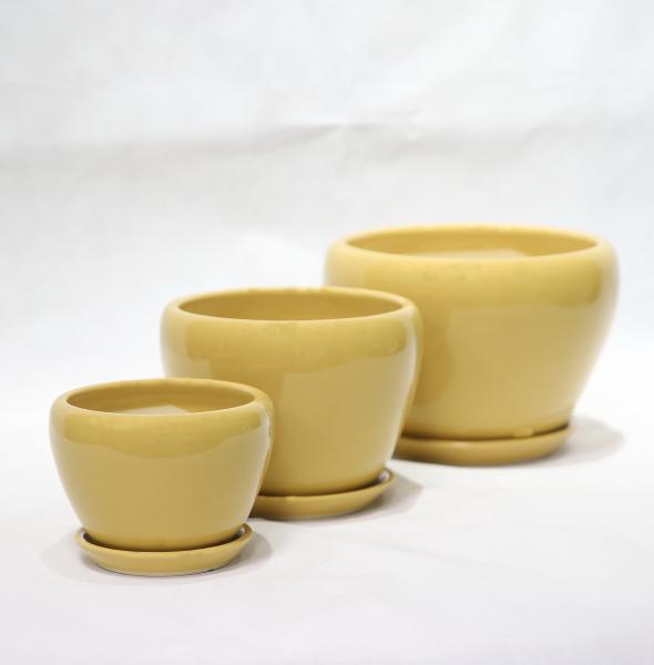 Stylish And Functional Ceramic Pots Perfect For Any Plant And Any Space