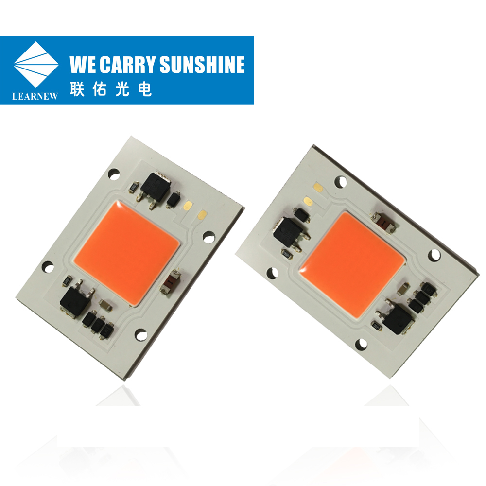 СИД 30W 220V 40*60mm обломока соединителя 40-50umol/S Solderless