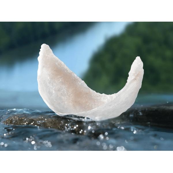 Peras asadas de Zeagrove con nido de pájaro Alimentos orgánicos ricos en chicle Sustitución de comida instantánea