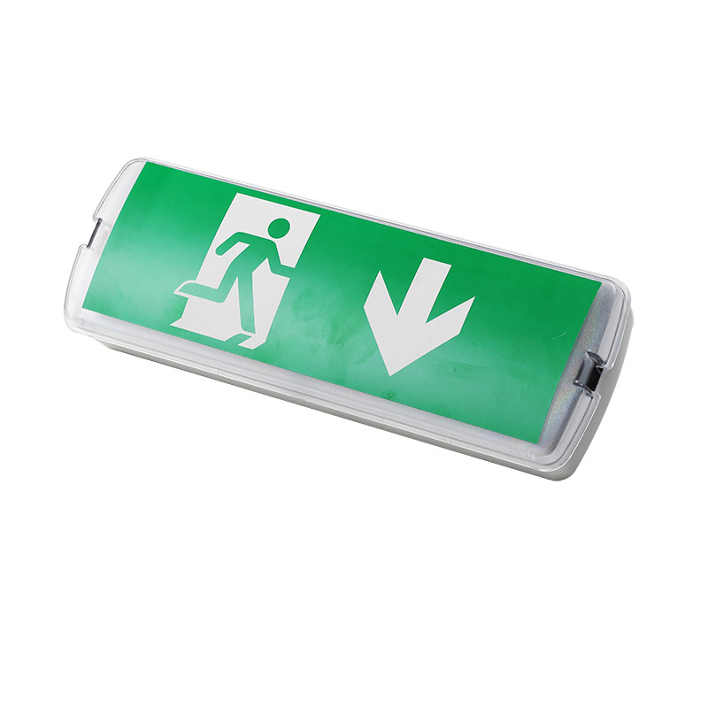 Rechargeable Wall Surface Mounted LED Emergency Light IP65 Battery Backup EL016SN