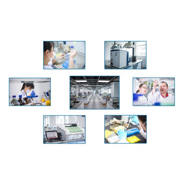 High Purity Alkaline Protease Detergent Enzyme Powder with 12 Months Shelf Life in 25kg Paper Box