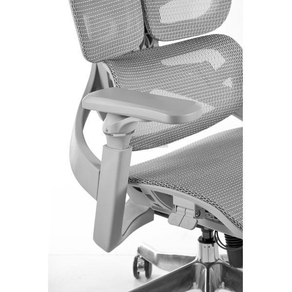 Luxury High Back up & Down Adjustable Ergonomic Computer Chair Full Mesh Recliner Executive Manager Office Chair With 6D Armrest