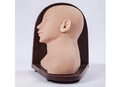 25 Lesions Ear Examination Medical Model for Hospitals / Schools