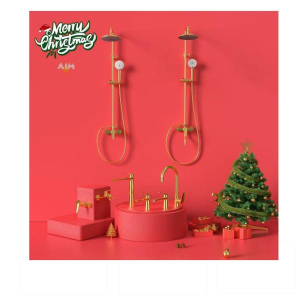 Acrílico de baño Sanidad 304 Acero inoxidable