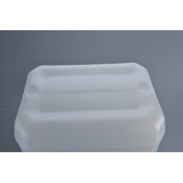 10L Extrusion Blow Moulded Plastic Jerry Can For Spot/Order/Customization 320g Tare Weight