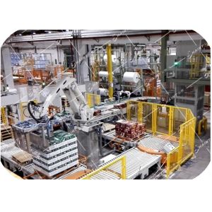 Система бумажной фабрики автоматическая Palletizing с роботом регулируя 30 m/минимальной аттестацию CE