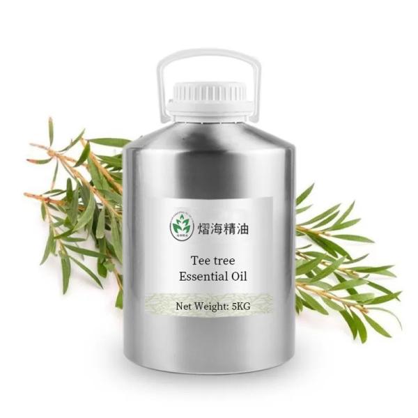 Anti Inflammatory 100 Pure Organic Essential Oils Tee Tree Essential Oil CAS 68647 73 4