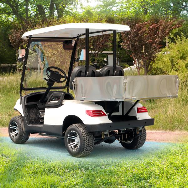 LSV 2 places Golf Cargo Chariot de golf avec boîte arrière 48 V-72 V Véhicules à