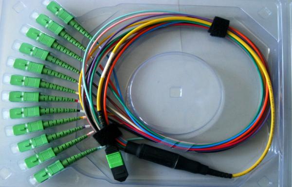 Fan Out Fiber Cable Assembly 12C/24C MPO-SC Low Loss MTP Male Connector 1310/1550nm