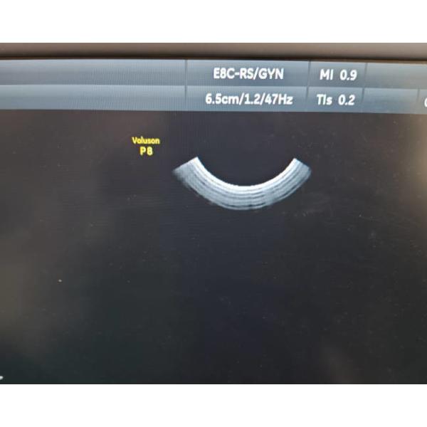 GE E8C-RS Compatible Ultrasound Probe Intracavity Transducer Electronic Diagnostics For Medical Imaging