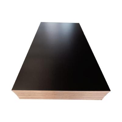 Pâte de contreplaqué laminée Pp de peuplier