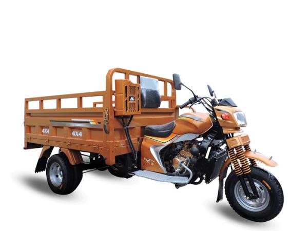 3 Wheel Motorized Tricycle 250cc Cargo Tricycle Heightening Carriage Three Wheeler For Adults