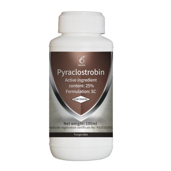 25% Pyraclostrobin SC Downy Mildew Fungicides For Cucumbers Rice Disease