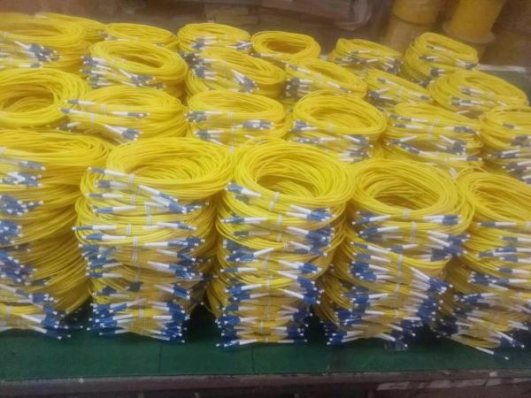 High Quality Customized Jumper SM MM Simplex Duplex 2.0mm 3.0mm FC/SC/LC/APC/UPC Fiber Optic Patch Cord