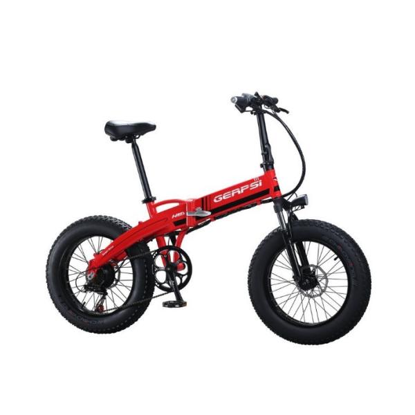 7 Speed 10AH 20 Inch Electric Fat Bike 36v 350w
