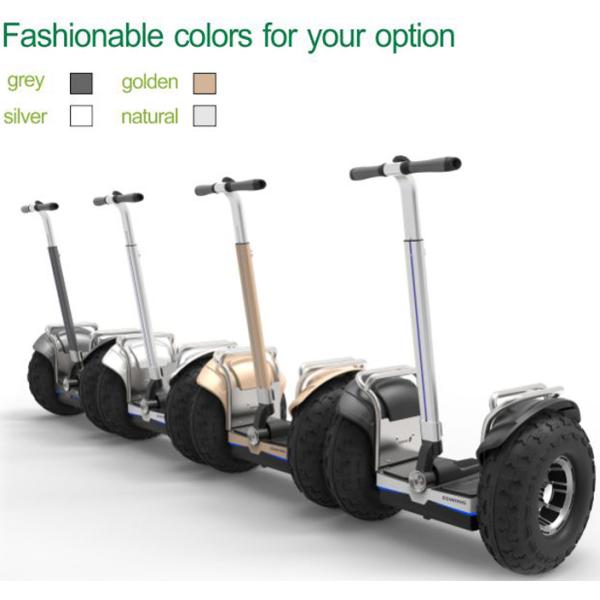 Self Balancing Adult Powerful Electric Scooters Two Wheel Patrol Use 2400w