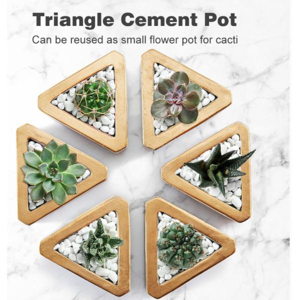 Colored Scented Jar Candle With Packaging Boxes Home Decoration Customized Logo