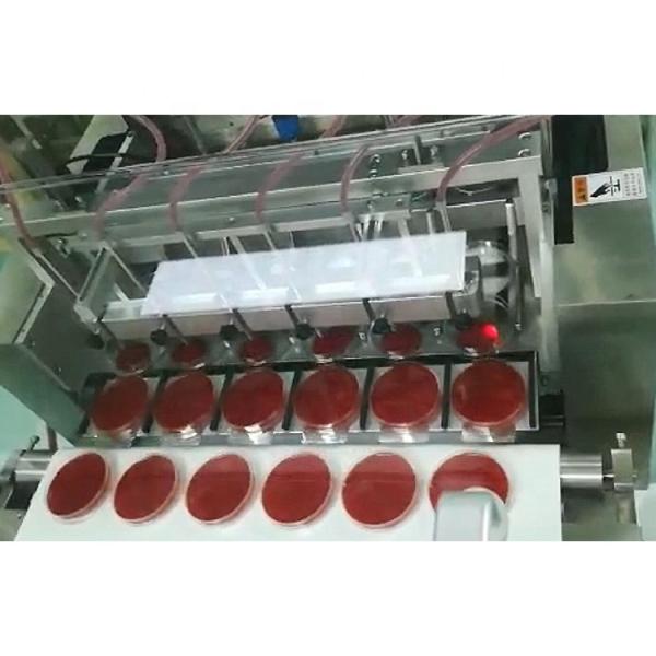 Automatic Aseptic Culture Media Petri Dish Filling Machine Single Line Automatic Stacking Mechanism Customized Peristaltic Pump