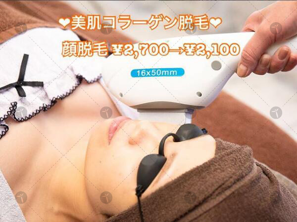 Vertical Ipl Wavelength 640nm Opt Hair Removal Machine
