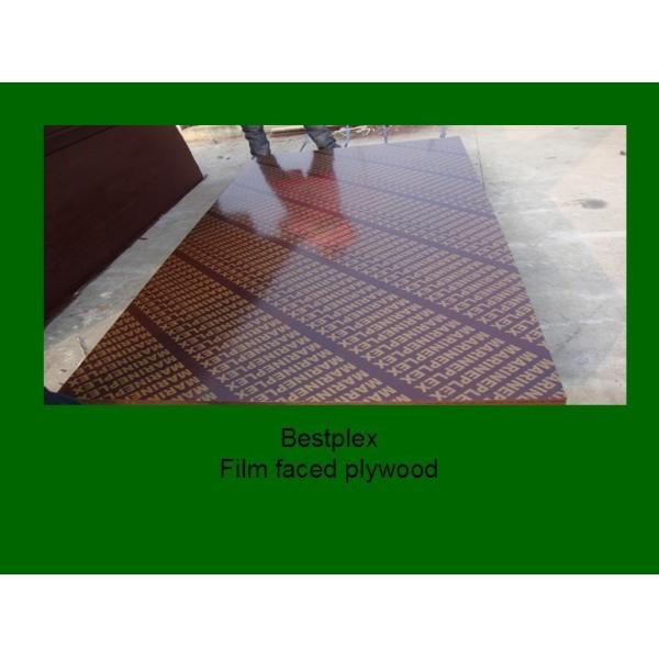 brown/black film faced plywood