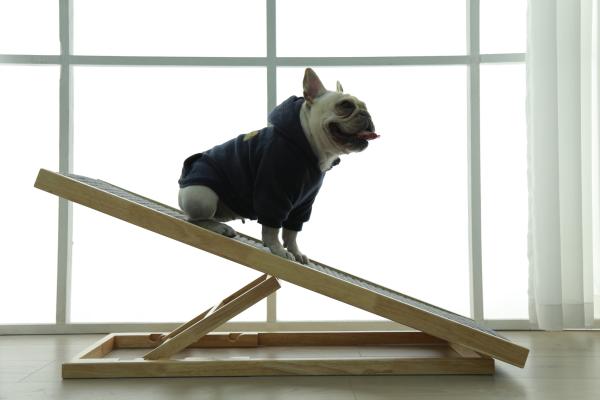 100 Pounds Pet Adjustable Dog Ramp Zoopollo Folding Portable Dog Stairs Bed Ramp For Dogs