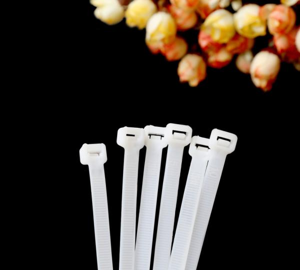 Nylon Cable Tie 10 Series  nylon 66 cable ties self-locking wire tie plastic zip tie bundle tie strap