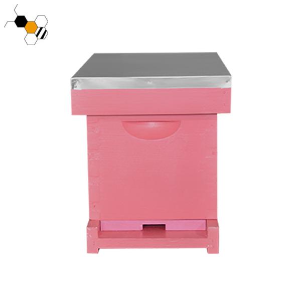 queen rearing 5 Frame bee hive equipment Langstroth Painted Nuc Box