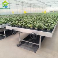 Couchette de semence personnalisée Bancs roulants réglables pour la culture de la table en plastique pour la plantation de fleurs