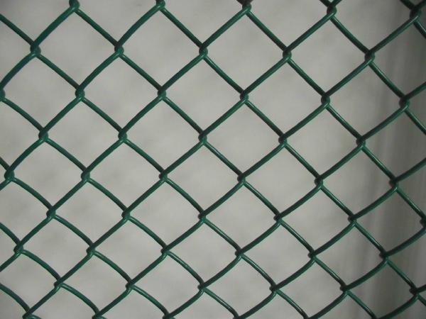 50mm x 50mm hurricane Fence Supplier ,Hot Dipped Galvanized ,Hurricane Chain Wire Fence