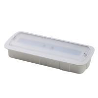 Lumière d'urgence automatique LED recouverte de mur rechargeable
