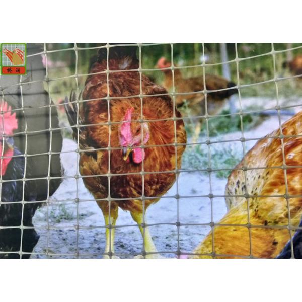 Polypropylene Plastic Poultry Netting, Garden Plastic Mesh Fencing, 30M Per Roll, Gray Color