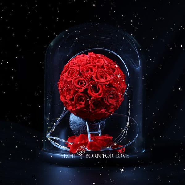 Eternal Flowers In Glass Romantic Planet Gift Luxury Home Decor Wedding Decor Romantic Gift