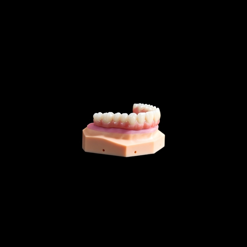 Titanium Bridge Dental