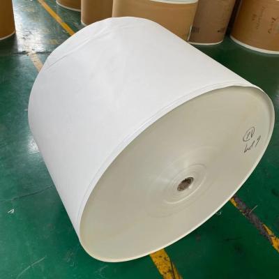 matière première de papier enduite imperméable de tasse de papier du petit pain 300Gram
