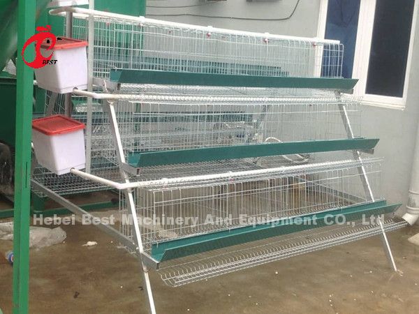 Цена клетки батареи слоев в Нигерии 12 птицы цыпленка 128 недель играет главные роли
