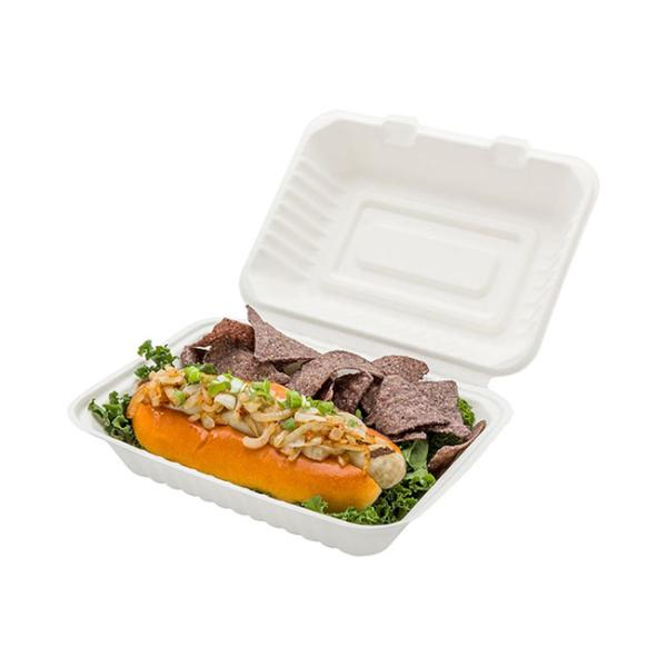 EN13432 9×6 Inch  Natural Bio Food Packaging Boxes