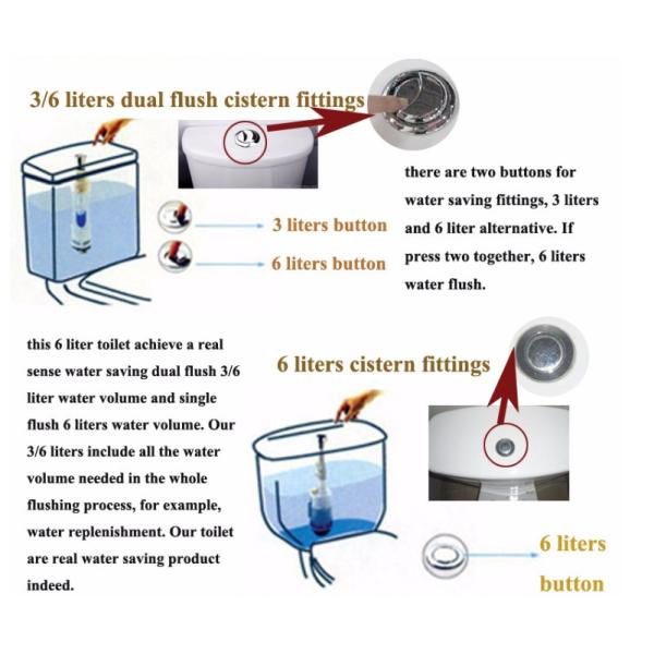 ВК современных европейских изделий туалета силы тяжести стиля керамических санитарных двухкусочный