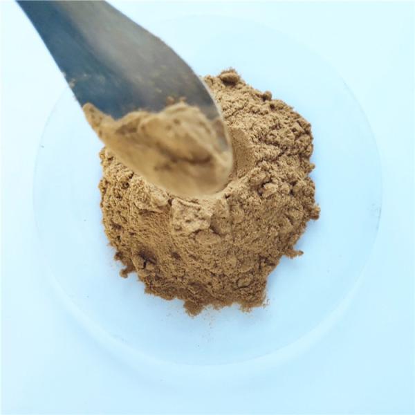 gmp anti cancer nutrition supplement kelp extract in bulk