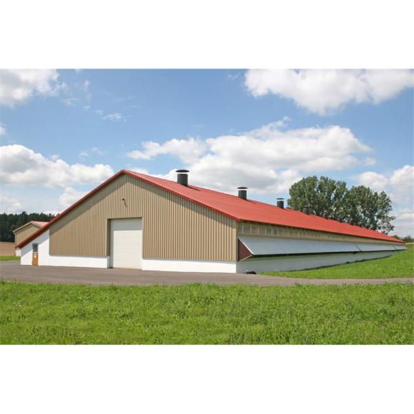 Design industrial Estrutura de aço Casa de frango para ginásio Fazenda pré-fabricada
