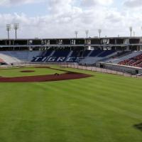 HDPE Material Stadium Sports Seats 5 Years - W 430 Mm * D 600 Mm * H 835 Mm