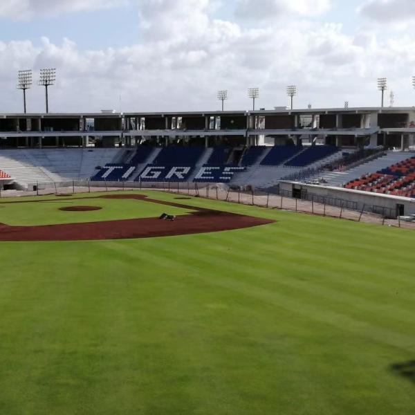 HDPE Material Stadium Sports Seats 5 Years - W 430 Mm * D 600 Mm * H 835 Mm