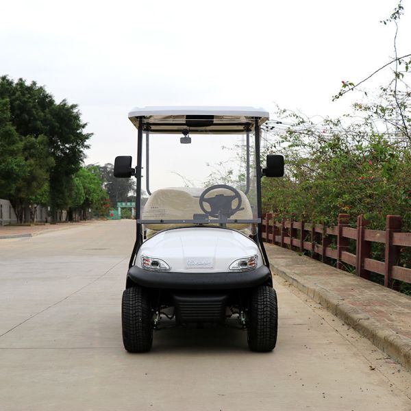 2 Seats Front Electric Golf Carts 5KW AC Asynchronous Motor 48V Lithium Battery