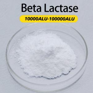 10000ALU-100000ALU Alpha Galactosidase Enzyme Foods Customized Enzyme Activity