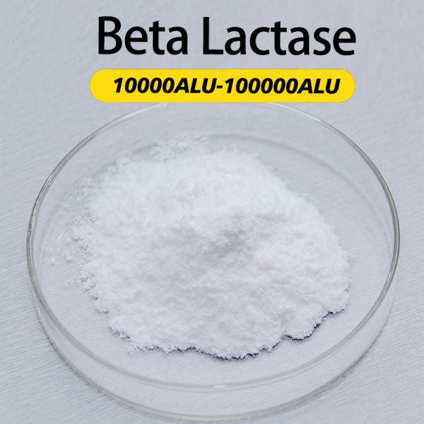 10000ALU-100000ALU Enzyme alpha galactosidase Aliments Activité enzymatique personnalisée