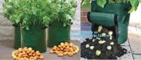 o patato/vegetal da planta de jardim cresce sacos, hotsales 2gallon os potenciômetros da tela que crescem sacos para a flor da planta crescem a batata o da planta do saco