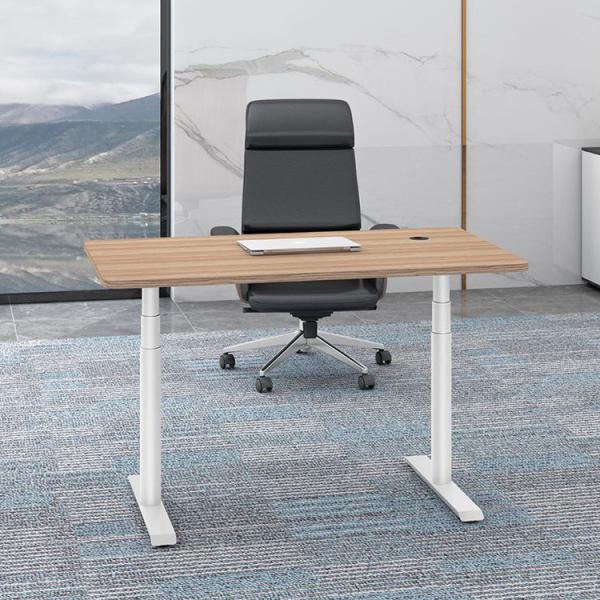 Adjustable Petite Ergonomic French Two Motor Standing Desk for Kids Mail Packing