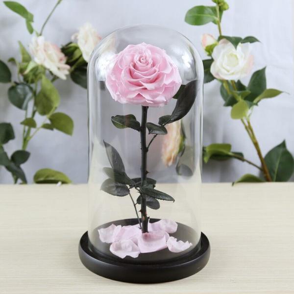 2021 popular  Preserved Roses Long lasting Roses in Dome Valentines Day Gift